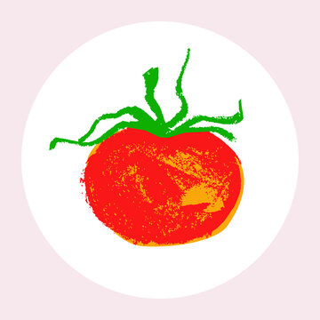 Hand-drawn ripe tomato drawing. Natural tomatoes vector Illustration. Pastel drawings of organic tomato for seed label, packaging design catchup, banner organic agriculture, vegetarian food symbol