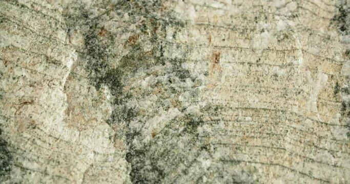 Skarn stone close-up Primorsky region Russia. The background is a gem.