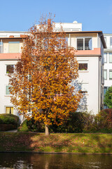 Wohnhaus, Mehrfamilienhaus im Herbst, Bremen