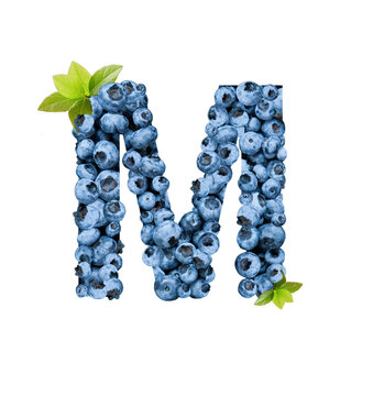 Letter M, made with fresh blueberries isolated on white. Bluberries font of full alphabet set of upper case letters.