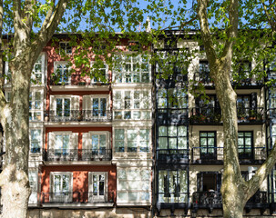 Residential building facade in Bilbao old town city with shadows of trees. Real estate business,...