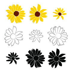 Set of three open heliopsis blossom vector outline, silhouette and color illustration isolated on white background. Vector sketch style top view hand drawing of wild, heliopsis, false sunflower.