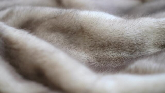 luxurious mink fur texture close-up background. closeup the motion footage vide.