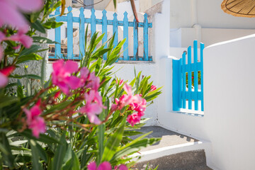 Fantastic travel background, Santorini urban street landscape. Blue door or gate stairs and white architecture under sunny sky. Amazing summer vacation holiday adventure. Wonderful summer luxury vibes