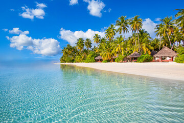 Maldives island beach. Tropical landscape of summer scenery, white sand with palm trees. Luxury travel vacation destination. Exotic beach landscape. Amazing nature, relax, freedom nature template
