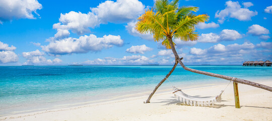 Paradise beach, relax landscape with beach swing or hammock on coconut palm and white sand calm sea...