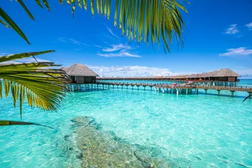 Wall murals Bora Bora, French Polynesia Luxury hotel with water villas and palm tree leaves over white sand, close to blue sea, seascape. Beach chairs, beds with white umbrellas. Summer vacation and holiday, beach resort on tropical island 