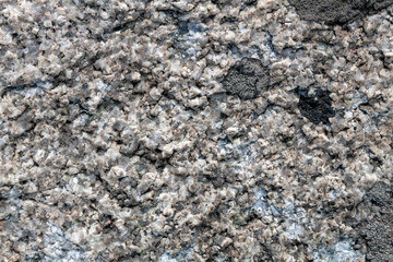 black spots of moss on the stone