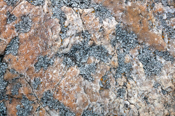 Background of a mountain stone covered with moss.