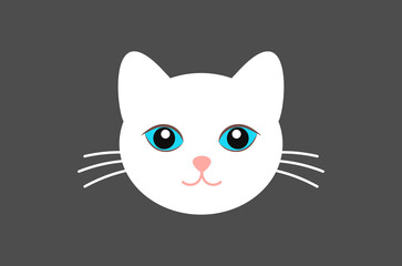 Cute white cat face with blue eyes.