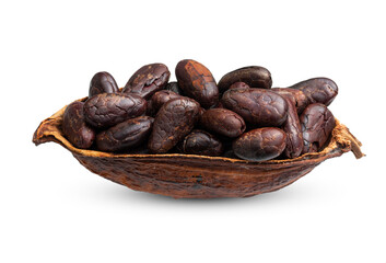 Cocoa fruit open pod with cocoa seeds isolated on white background.