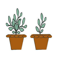 Flowerpot green leaves in flat style of  terracotta flower pots. Empty ceramic brown flowerpots . Nature illustration. Floral background. Green leaves, stylish minimalistic interior decoration.