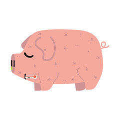 Sick Pig  Swine Flu  with a group of viruses