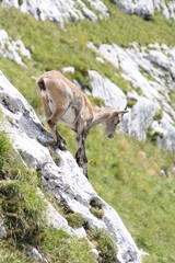 Cima di Terra Rossa