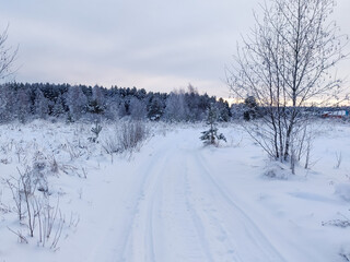 .Beautiful winter season landscape. Snowy road along the forest with Christmas trees.