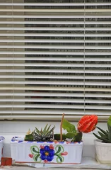 Fotobehang ventana con persiana blanca de lamas con tiestos y plantas  casa de espelette pueblo vasco francés francia 4M0A8063-as21 © txakel