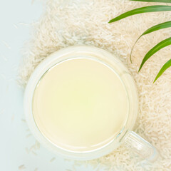 Dairy free, non lactose rice milk. Vegan eco friendly food composition with glass cup of plant rice milk with rice seeds and palm leaf on a blue background