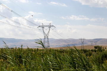 power lines in the field