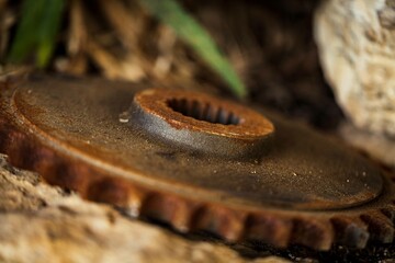 Rostiges Zahnrad Macro