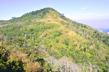 Fototapeta premium mountains, forests and ranches