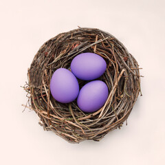 Naklejka na ściany i meble Minimal composition of violet eggs in nest. Natural modern background.