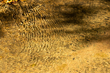 Clear water ripples while flowing on a smooth sandy surface inside Pench tiger reserve