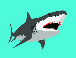 Illustration white shark predator fish cartoon image