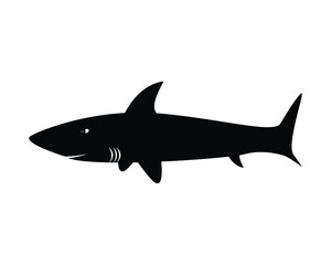 Obraz premium Shark vector icon