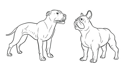 In the animal world. Vector image of dogs. Black and white drawing, coloring.