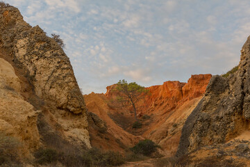 Fototapeta premium Algarve- Portugal
