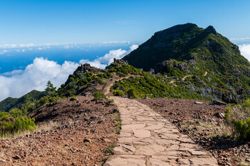 path in the mountains