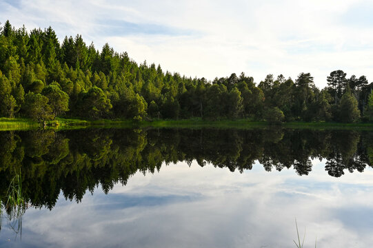 Trees of the Black Forest reflect in the clear, dark water of Lake Blindensee, Germany.