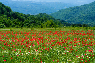 Landscape along the road from Norcia to Cittareale, Lazio