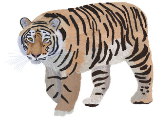 寅歩く_リアルタッチ_横