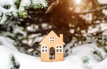 symbol of the house stands on a snow-covered fir branches
