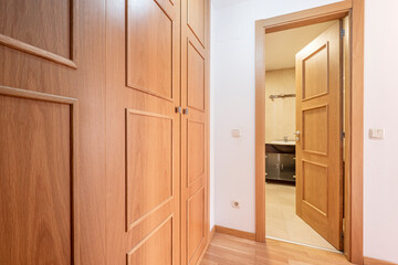 distributor at home with entrance to a bathroom with dark furniture and wardrobe embedded with cherry wood