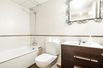 Fototapeta na wymiar Toilet with dark cabinet and metal filigree mirror in a vacation rental apartment