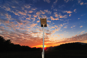 Solar cell street lamp pole on oranges  sky with sunset   background