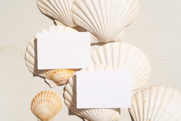 Sea shells styled stock scene