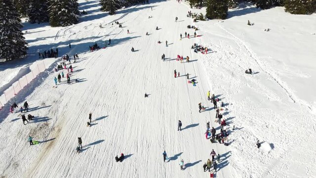 A lot of people having fun on mountain. Group of tourists walking, skiing and sledding slope in winter. Aerial drone view of children on the snow. Winter holidays.