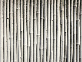pattern of bamboo on a concrete wall on the facade of a building