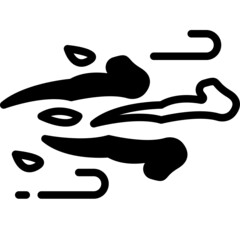 wind solid line icon