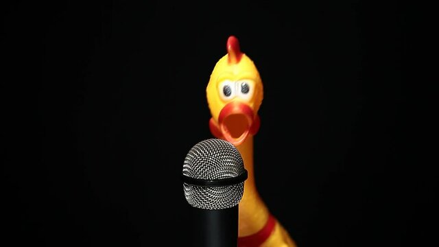 footage of microphone rubber chicken dark background 