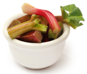 Fresh rhubarb