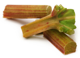 Fresh rhubarb