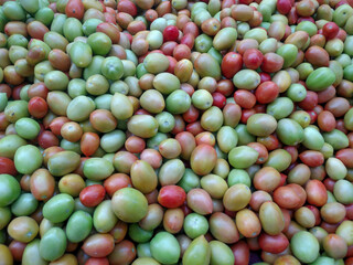 Red and green tomatoes