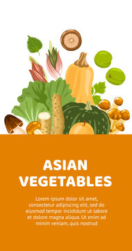 Asian vegetables banner for farmers market, supermarket, menu, recipes. Exotic food from Korea, Japan, China. Oriental cuisine ingredients. Vector cartoon flat illustrations.