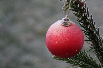 red christmas ball on a branch