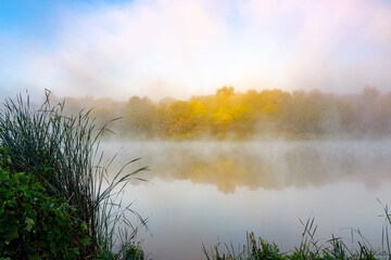 Fototapeta na wymiar Autumn fog over the river and forest with yellow leaves.