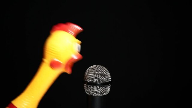 footage of microphone rubber chicken dark background 